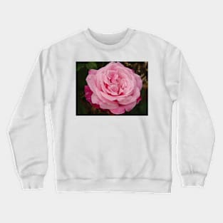 Rose Flower Pink Two Tone Crewneck Sweatshirt